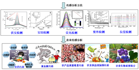 引領(lǐng)未來 創(chuàng)新團(tuán)隊(duì)如何驅(qū)動新材料技術(shù)的推廣與服務(wù)升級